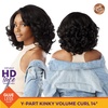 image:imageSensationnel CKCO Kinkyedges WigKinky Volume Curl 14 Inch BALAYAGEGOLDHL28044