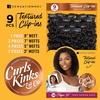 image:imageSensationnel Curls Kinksandco Clip inClique14 inch NATURALNATURAL