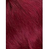 image:imageSensationnel Xpression prestretched Braids3X1pk 27 HONEYBLONDEBG BURGANDY