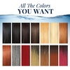 image:imageSensationnel Ruwa Pre Looped Braids3X Senegal Twist14in 1B OFFBLACKSM1B350