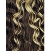 image:imageSensationnel What Lace 13x6 WigReyna 1 JETBLACKMPCARAMEL