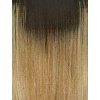 image:imageSensationnel What Lace 13x6 WigTyrina 1 JETBLACKMPSANDYBLONDE