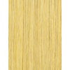 image:imageSensationnel Bare Lace 13x6 WigUnit 10 1 JETBLACKLIGHTGOLDENBLONDE