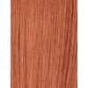 image:imageSensationnel Bare Lace 6x5 LacewigUnit 2 1 JETBLACKCHOCOLATECOPPER