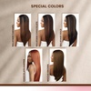 image:imageSensationnel Bare Lace 6x5 LacewigUnit 8 1 JETBLACKCHOCOLATECOPPER