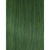 image:imageSensationnel Chicbob Lace FrontwigBob Unit 3 1 JETBLACKSAPPHIREGREEN