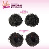 image:imageSensationnel Lulu Bun HairextensionsSpace Buns Unit 31 JETBLACKF1B33