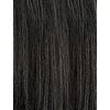 image:imageSensationnel Platinum Glow 13x6 WigDelphine 1 JETBLACKSHIMMERINGSILVER