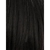 image:imageSensationnel Platinum Glow 13x6 WigDelphine 1 JETBLACKSILVERWHISPER